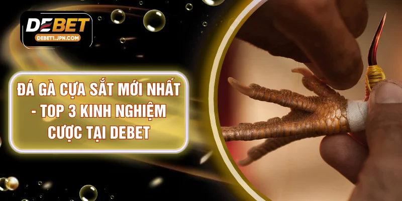 Đá Gà Cựa Sắt Mới Nhất - Top 3 Kinh Nghiệm Cược Tại DEBET