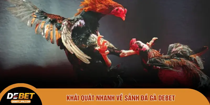 Khái quát nhanh về sảnh đá gà DEBET