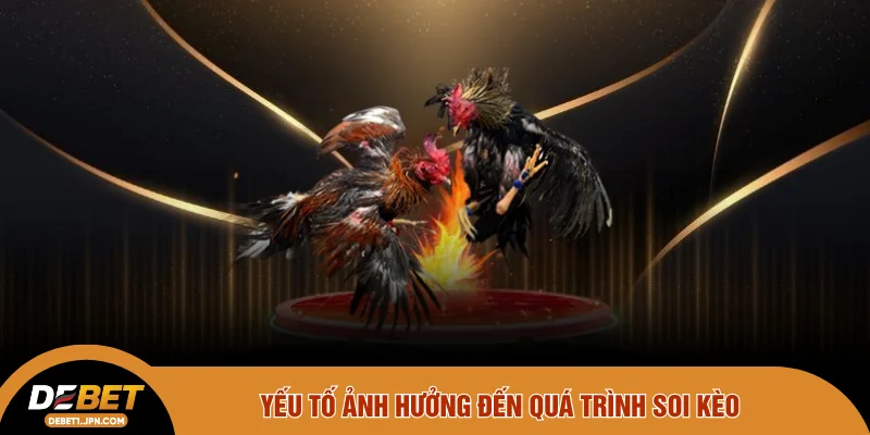 Yếu tố ảnh hưởng đến quá trình soi kèo